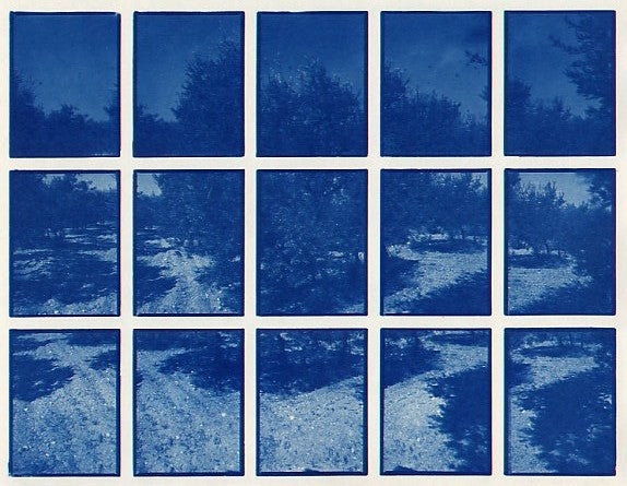 01#01 Olive Garden 1, from the series: La Nature Provençale I, 1997