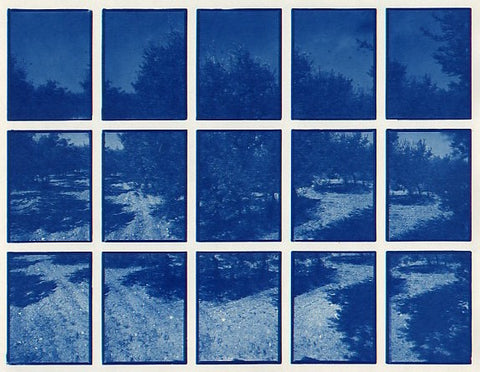01#01 Olive Garden 1, from the series: La Nature Provençale I, 1997