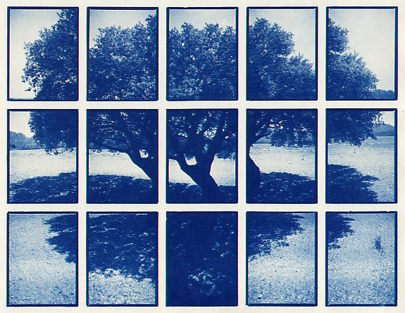 01#03 Oak Tree 1, from the series: La Nature Provençale I, 1997
