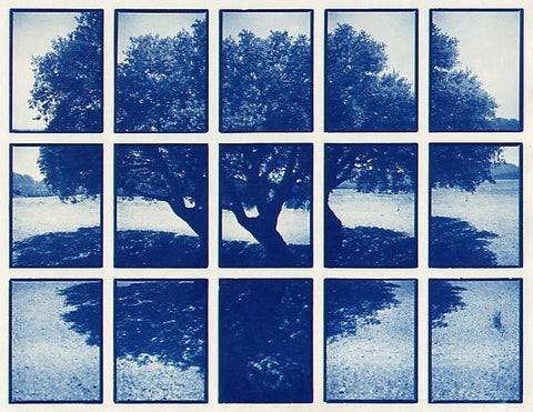 01#03 Oak Tree 1, from the series: La Nature Provençale I, 1997