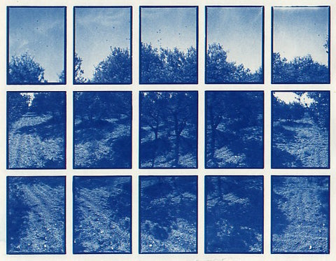 01#04 Olive Garden 2, from the series: La Nature Provençale I, 1997