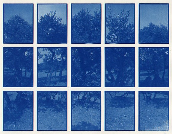 01#10 Olive Garden 4, from the series: La Nature Provençale I, 1997