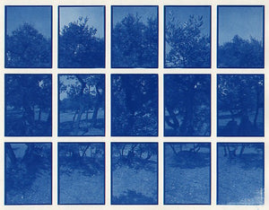 01#10 Olive Garden 4, from the series: La Nature Provençale I, 1997