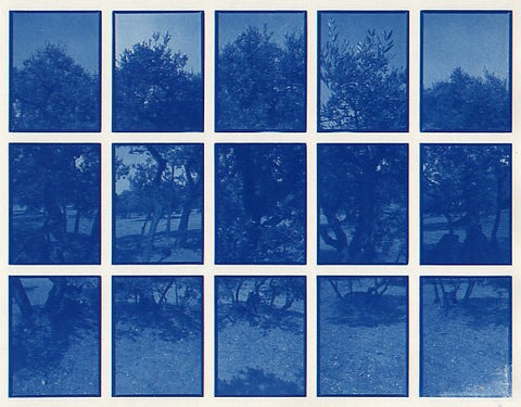 01#10 Olive Garden 4, from the series: La Nature Provençale I, 1997