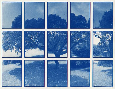 01#12 Oak Tree 2, from the series: La Nature Provençale I, 1997
