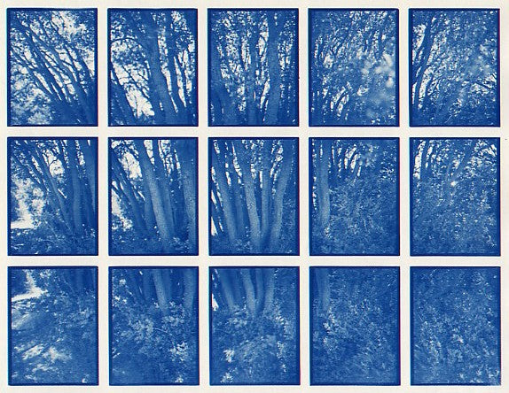 01#14 Oak Tree Bush, from the series: La Nature Provençale I, 1997