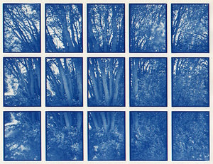 01#14 Oak Tree Bush, from the series: La Nature Provençale I, 1997