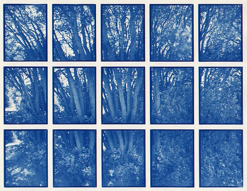 01#14 Oak Tree Bush, from the series: La Nature Provençale I, 1997