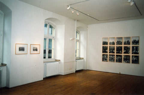 01#05L Olive Garden 3, from the series: La Nature Provençale I, 1997