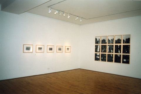 01#02L Zypressen, from the series: La Nature Provençale I, 1997