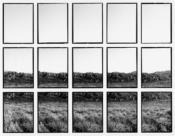 07#03 No Title, from the series: La Nature Provençale II, 1998