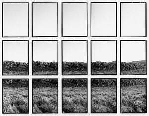 07#03 No Title, from the series: La Nature Provençale II, 1998