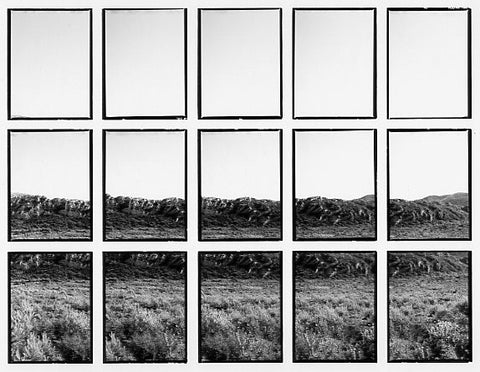 07#03 No Title, from the series: La Nature Provençale II, 1998