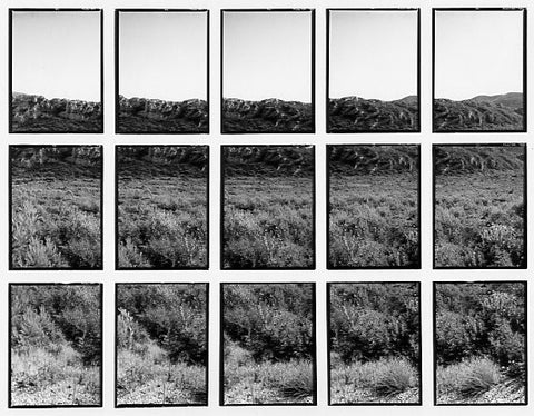 07#07 No Title, from the series: La Nature Provençale II, 1998