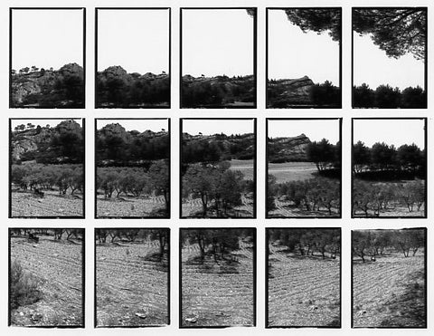 07#09 No Title, from the series: La Nature Provençale II, 1998