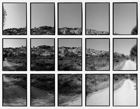 07#10 No Title, from the series: La Nature Provençale II, 1998