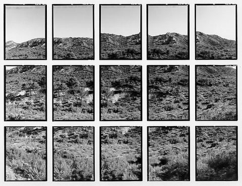 07#11 No Title, from the series: La Nature Provençale II, 1998
