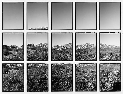 07#12 No Title, from the series: La Nature Provençale II, 1998