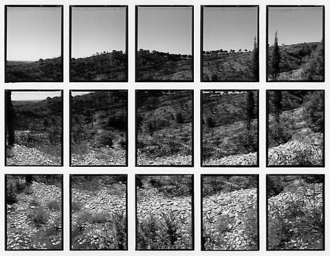 09#02 No Title, from the series: La Nature Provençale III, 1998
