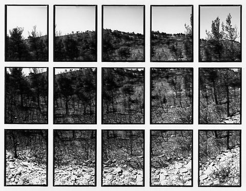 09#08 No Title, from the series: La Nature Provençale III, 1998