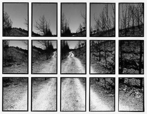 09#11 No Title, from the series: La Nature Provençale III, 1998
