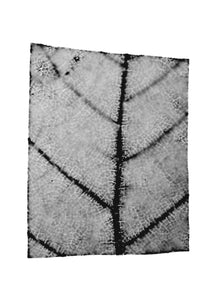 fg-2002-04 Ulmus glabra (Bergulme), 2002
