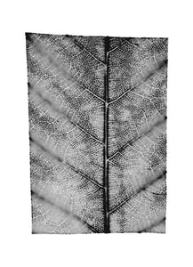 fg-2002-12 Castanea sativa (Esskastanie), 2002