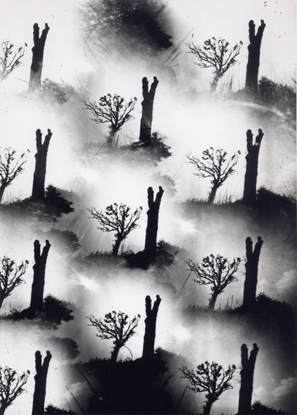 Thomas Kellner – Dying Nature, 10 Originalfotografien, Auflage 10